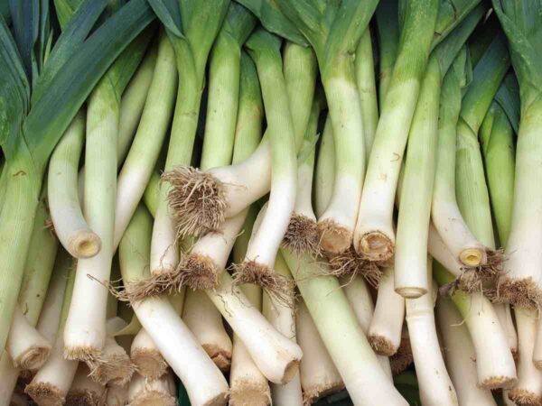 Organic Leeks