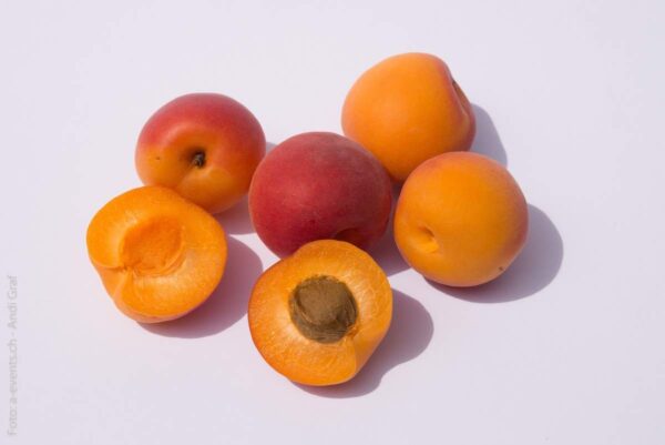 Organic Apricot