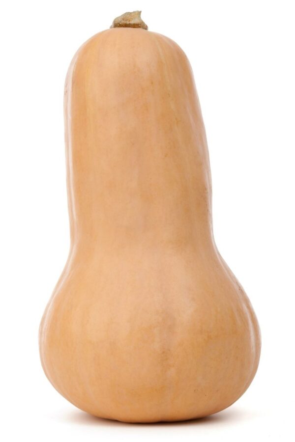 Organic Squash Butternut