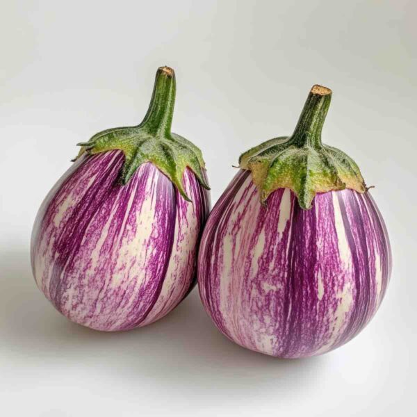Organic Eggplant Striped